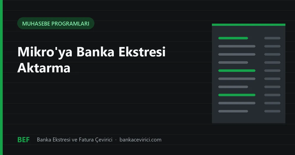 Mikro'ya Banka Ekstresi Aktarma: Excel'den Fiş, Express Aktarım ve Doğrudan Yazım